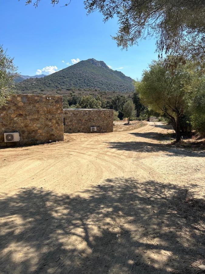 Les Bergeries Du Domaine De Pinelli Belgodere (Corsica)